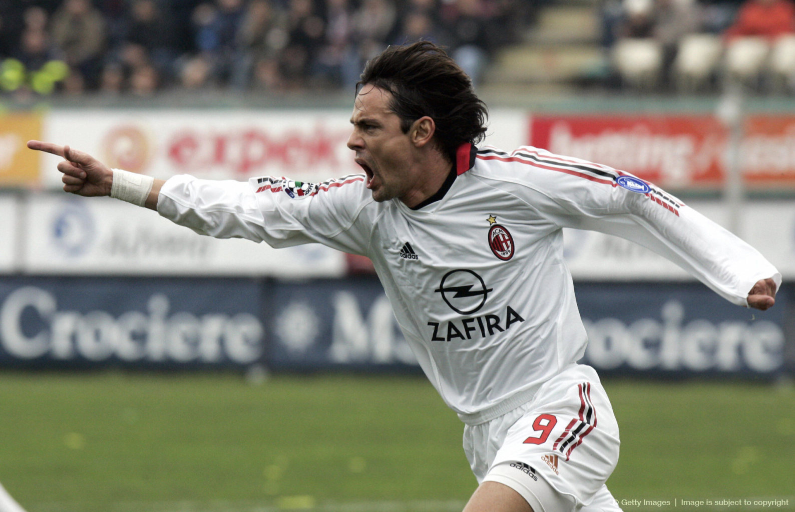 了多项冬季 了多项冬季